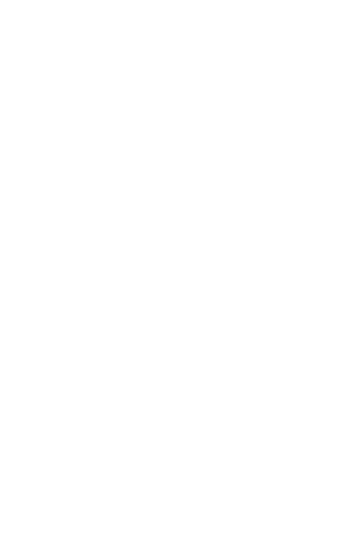 Splendor International